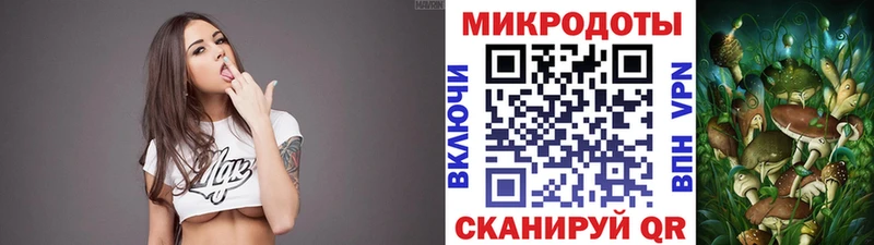 Галлюциногенные грибы Psilocybe  Бакал 