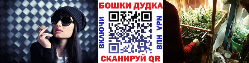 Конопля сатива Бакал